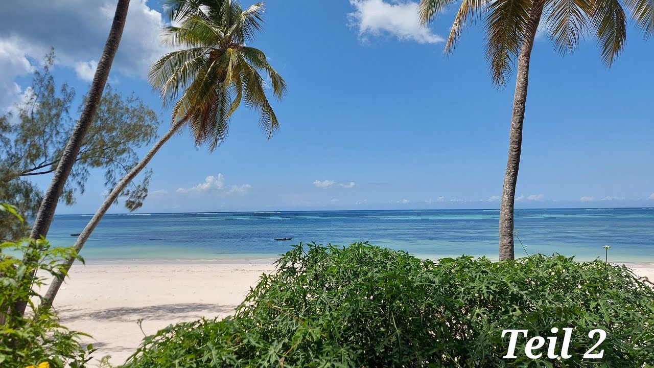 Flying Hoppers in Tansania und auf Sansibar 2022, Teil 2 von 3