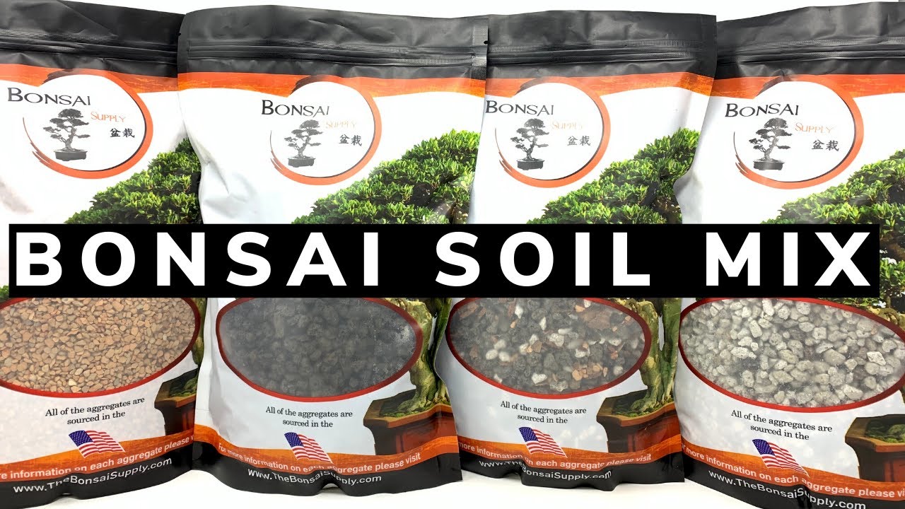 Важность хорошей почвы для бонсай — The Bonsai Supply