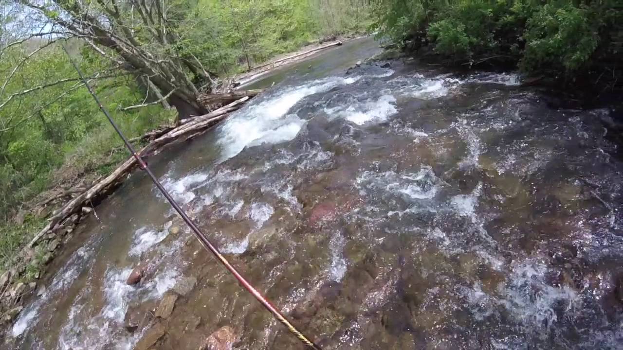 #13 -  Fishing Seneca WV - Fishing the top 100 Trout Streams in America