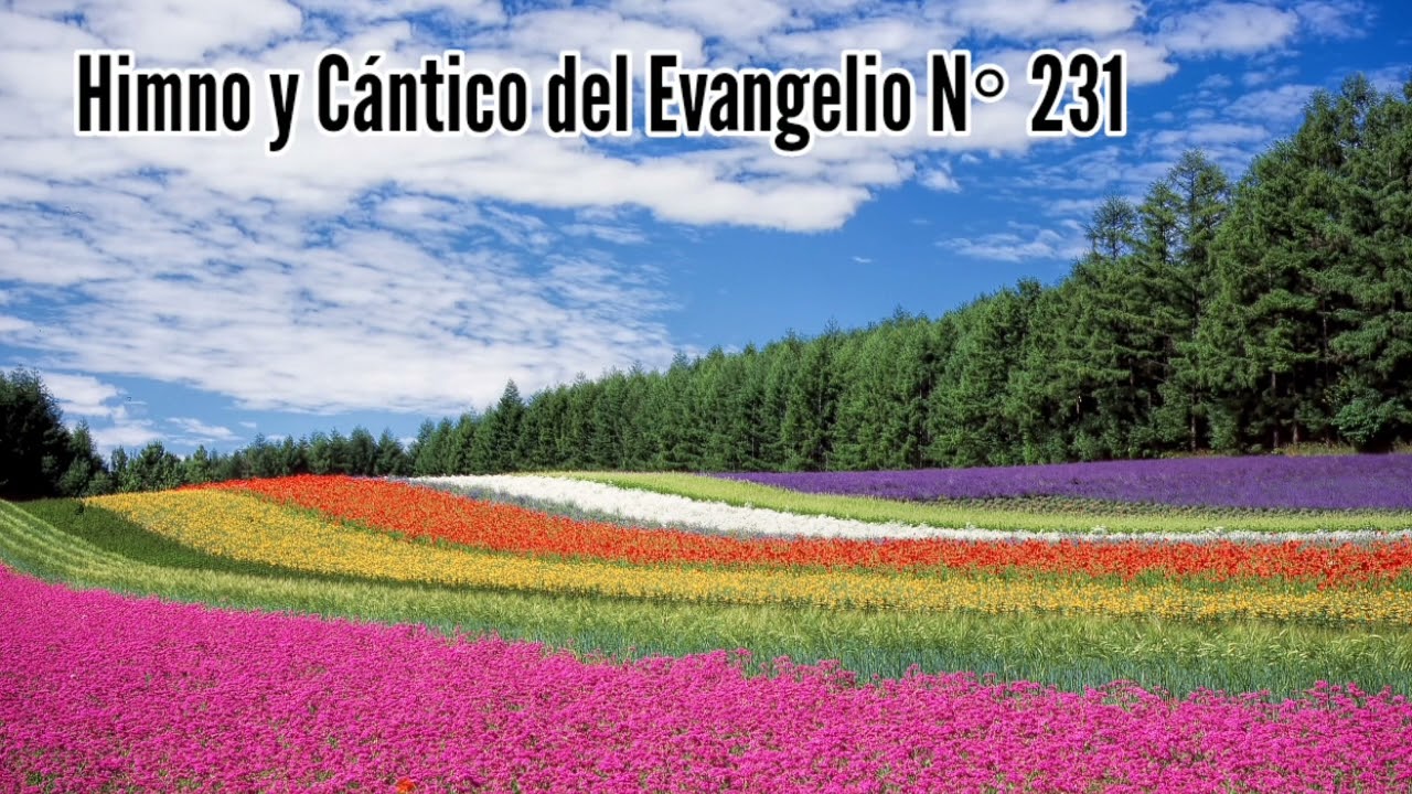 Himno y Cantico del Evangelio N° 231