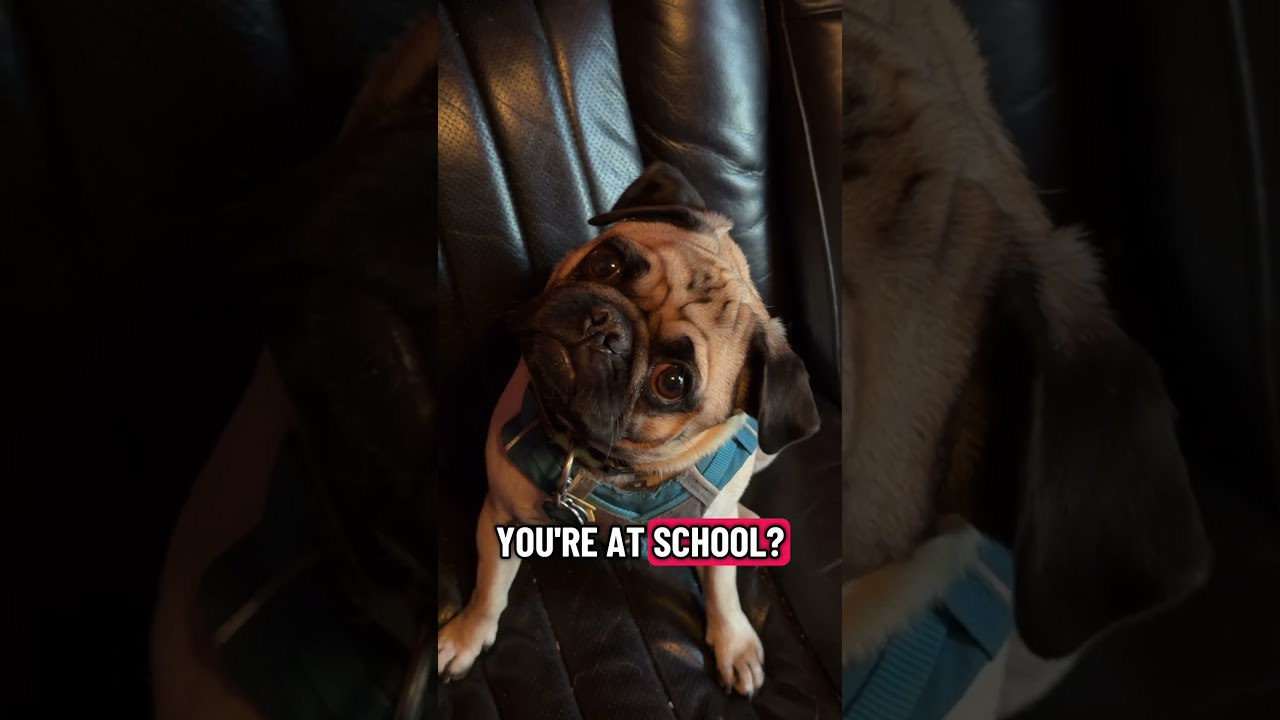 “Don’t leave me” - Edgar 