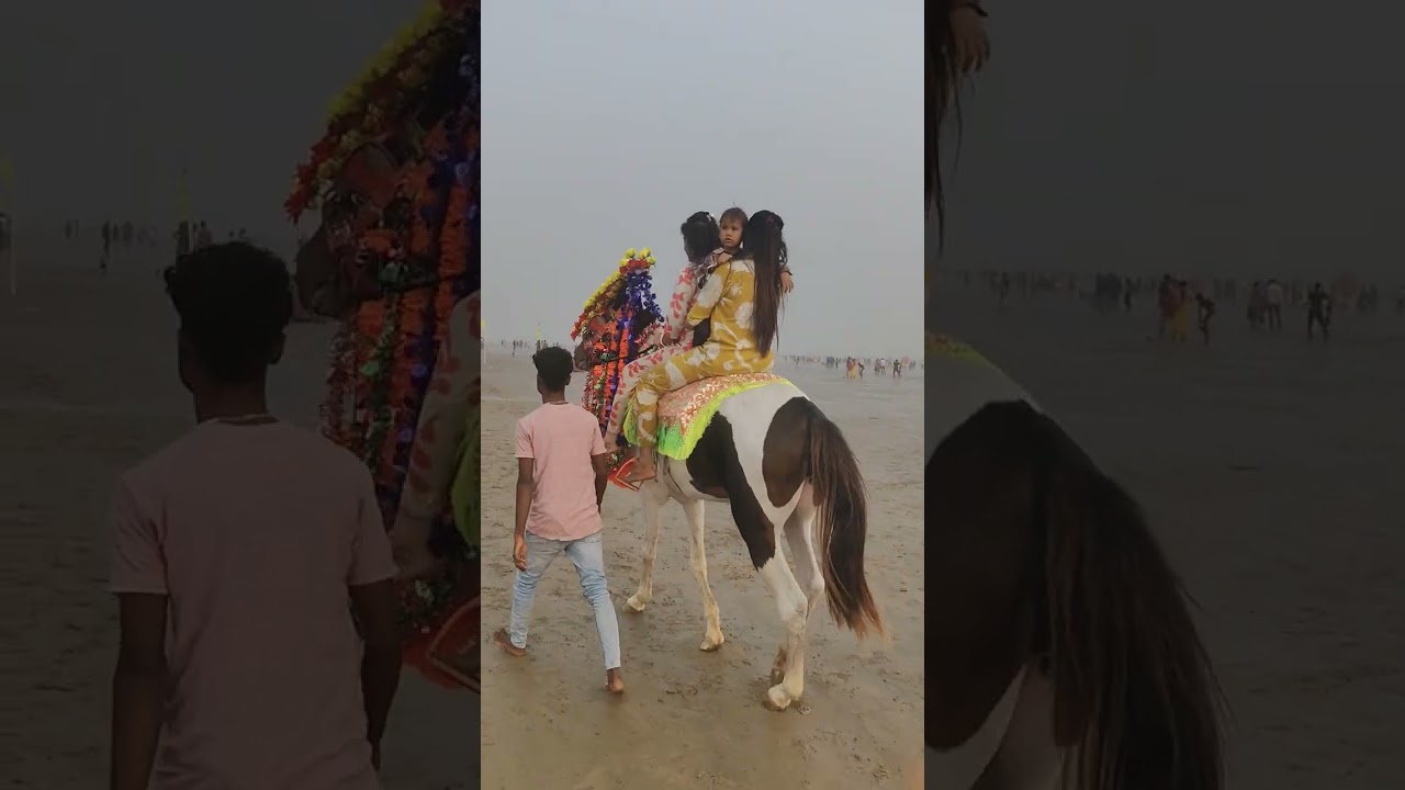 #dailyvlog