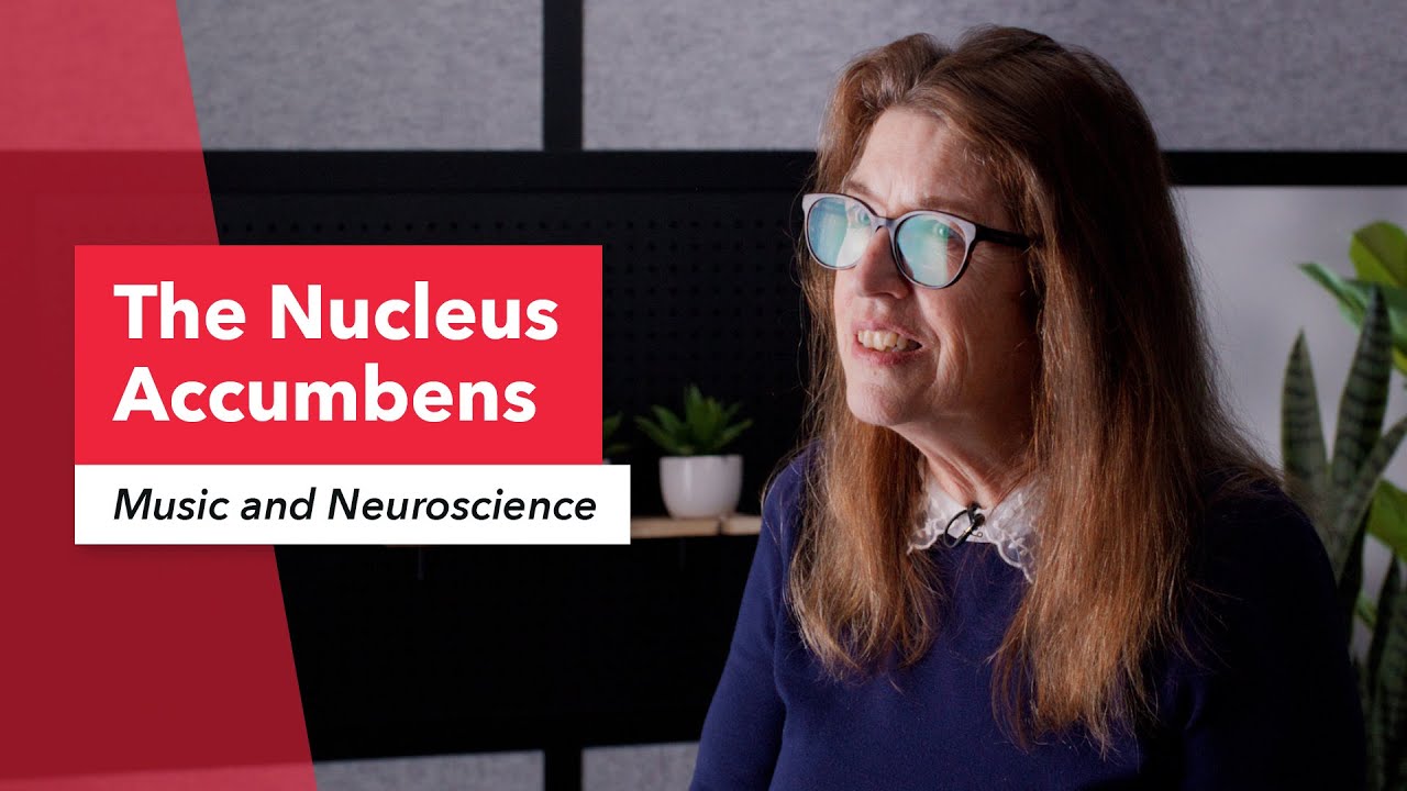 Music & Neuroscience: Nucleus Accumbens (NAcc) & Musical Emotion (Lesson 3) | Susan Rogers 18/26