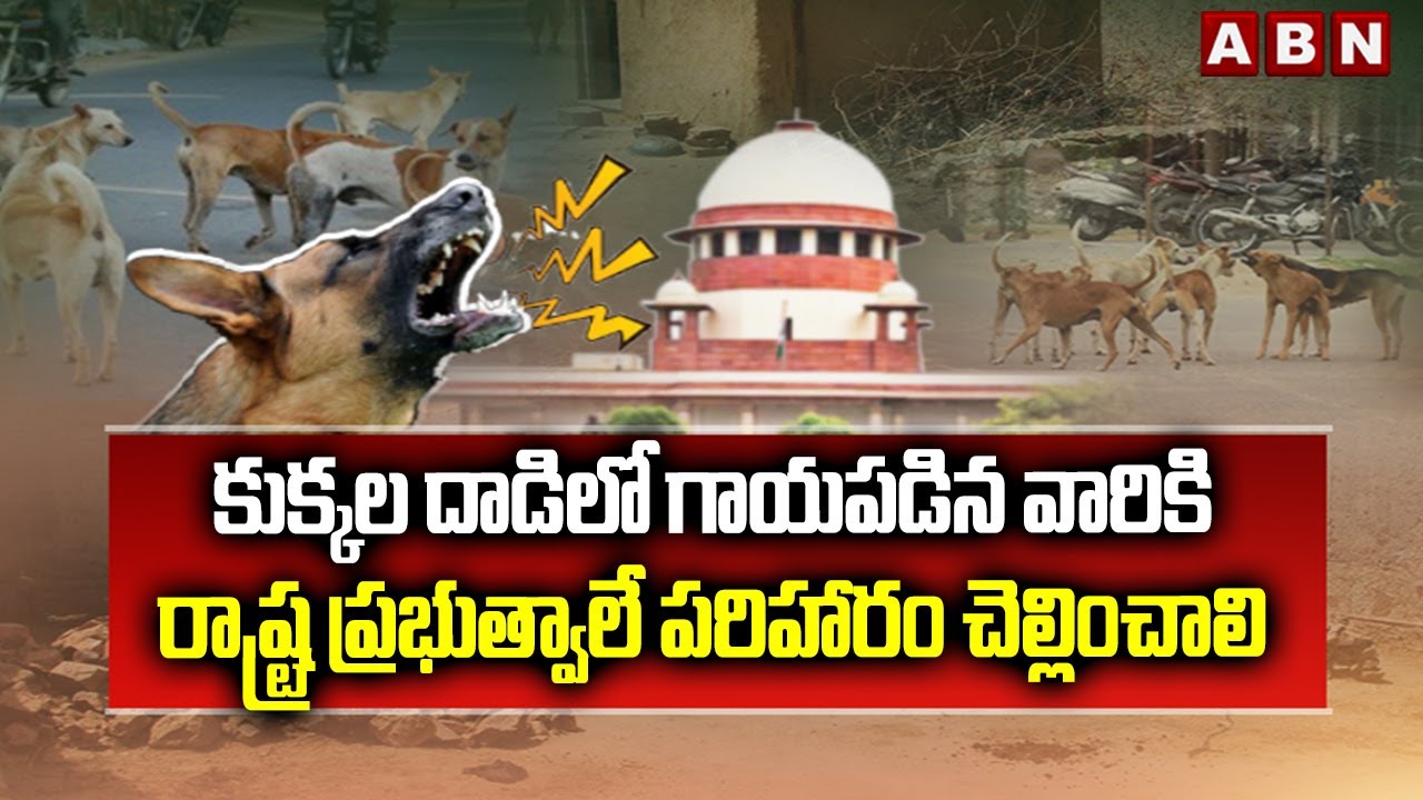కుక్కల దాడిలో గాయపడిన వారికి  రాష్ట్ర ప్రభుత్వాలే పరిహారం చెల్లించాలి | Supreme Court On Dogs | ABN