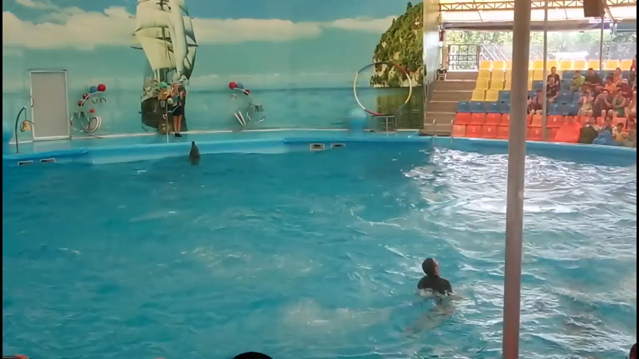 DOLPHIN SHOW @DolphinMinecraftMc 