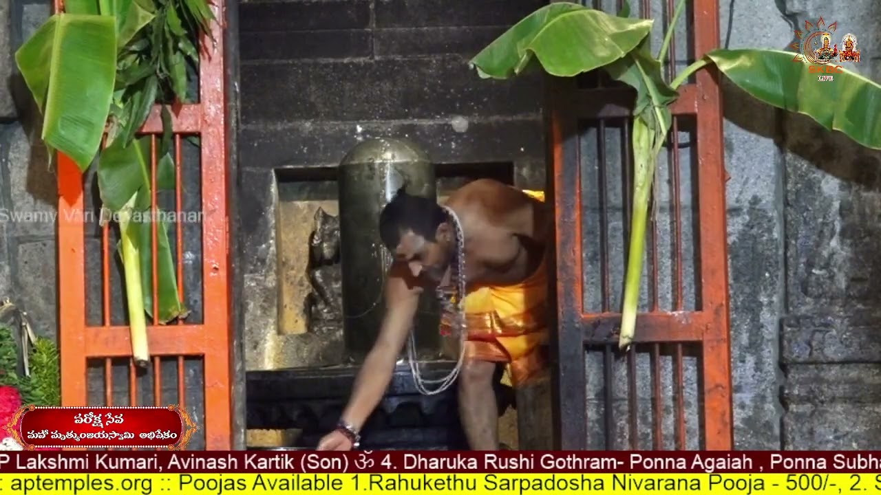 Paroksha Seva Sri Mrutyunjaya Swamyvari Abhisekam 09.02.2026