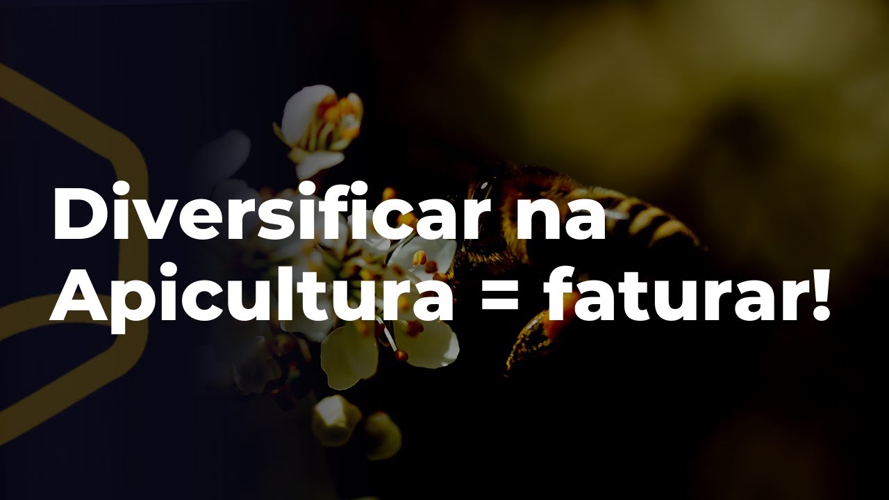 Fature mais de R$ 100.000,00 vendendo esses produtos das abelhas