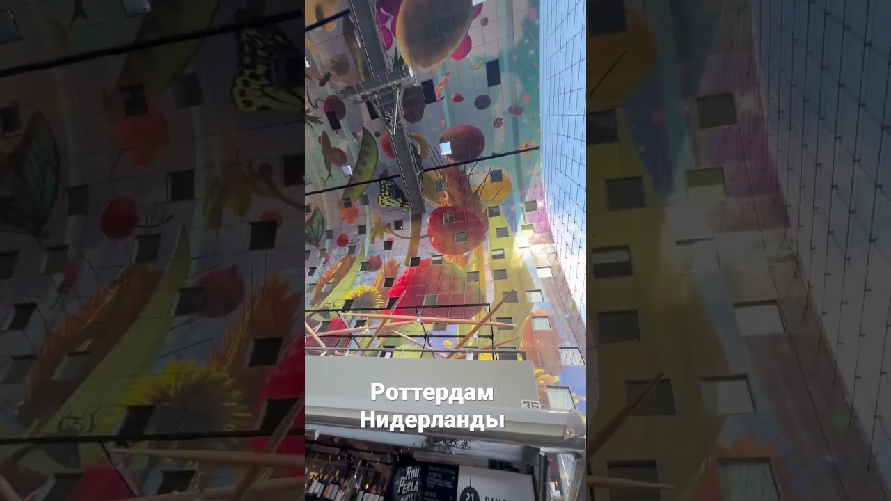🔴 Rotterdam Markthal January 11, 2023