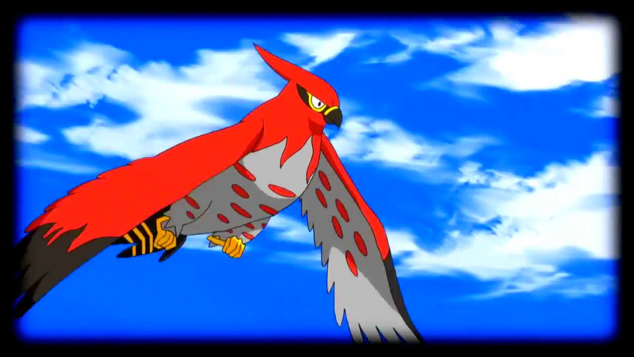 Ash vs Nami (Hawlucha and Fletchling vs Talonflame)