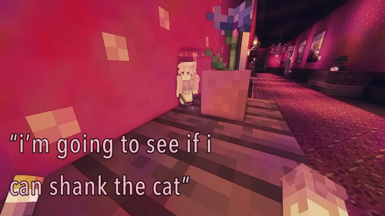 Best LDShadowLady rats smp moments