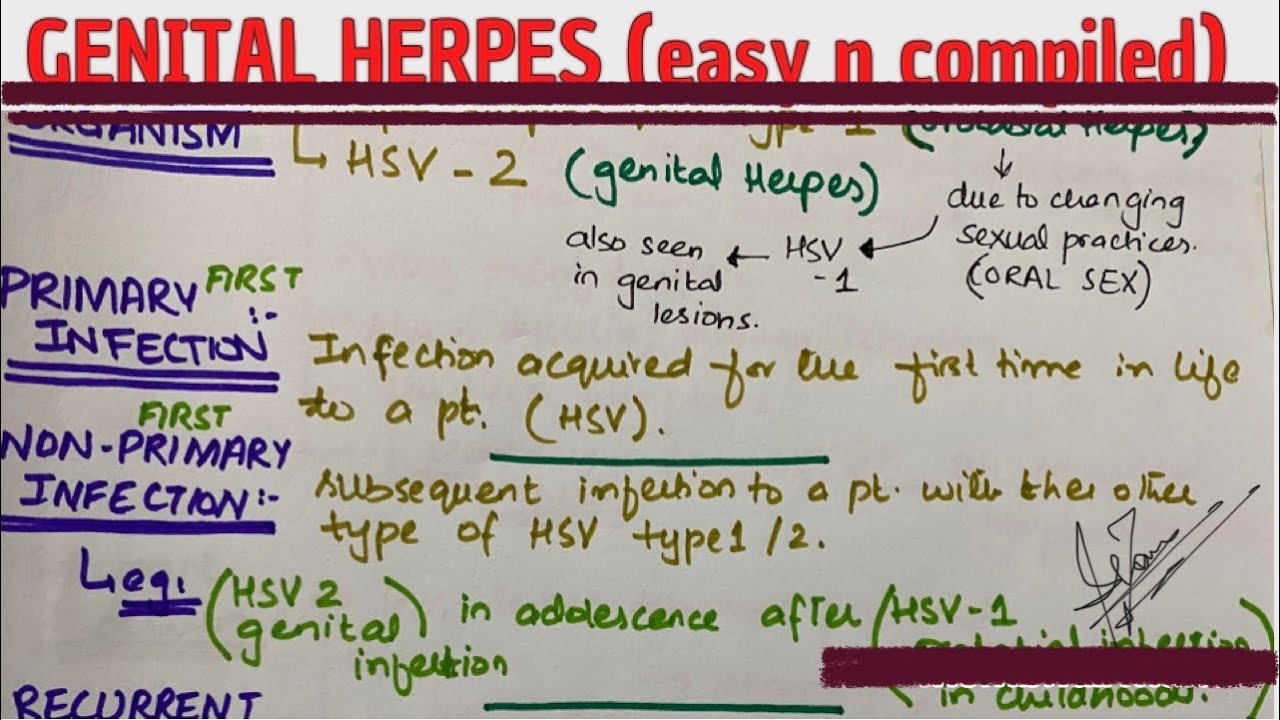 GENITAL HERPES | patho physiology | clinical features | diagnosis | management | DR SHAMAMA