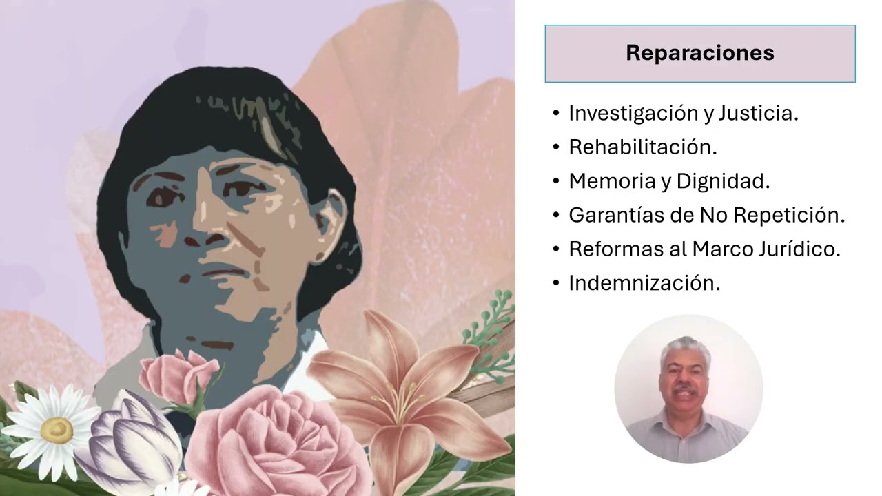 Caso Digna Ochoa y familiares vs. México, Sentencia de la Corte Interamericana de Derechos Humanos