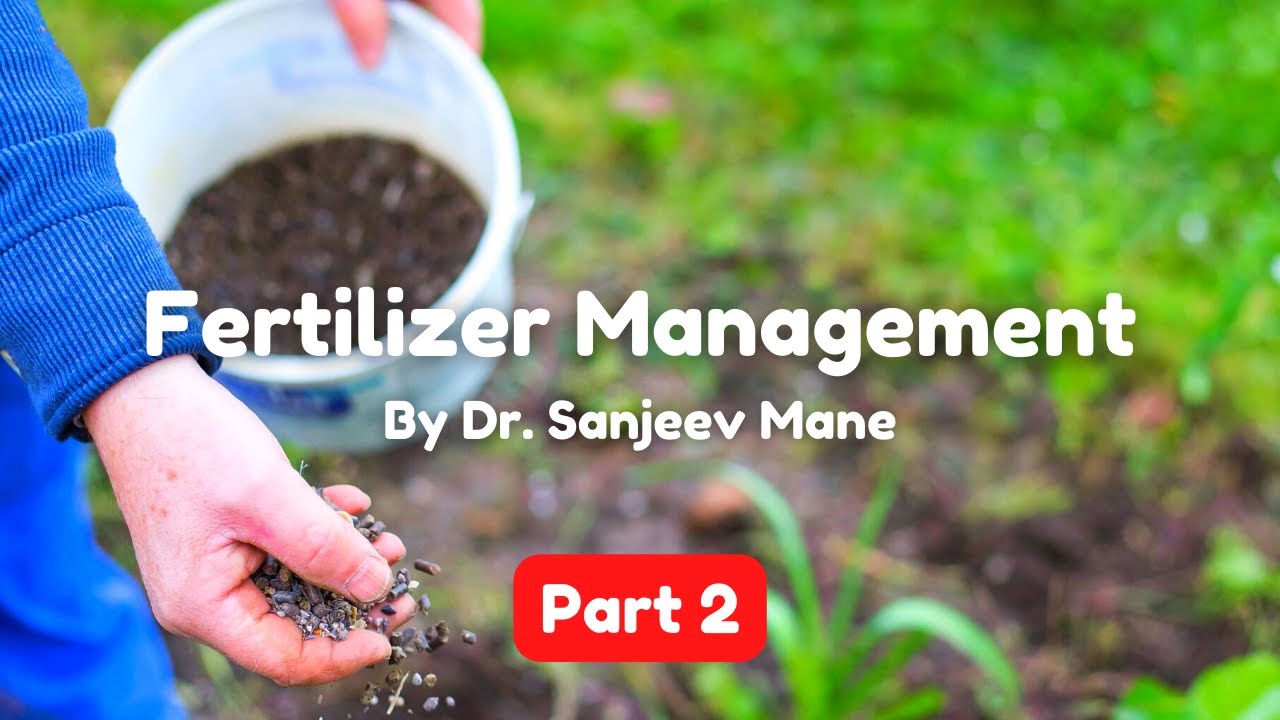 Fertilizer Management Part 2 | How to Grow 100 M Tone Sugarcane in 1 Acre by Dr. Sanjeev Mane.