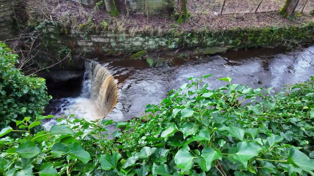 Marsden Hey Green to March Haigh Res (wander) 16 Dec 25