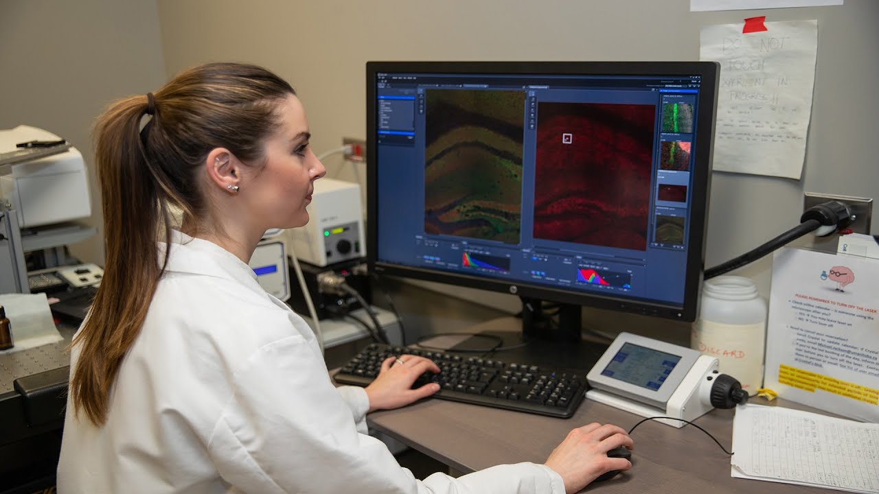 Department of Pharmacology and Therapeutics