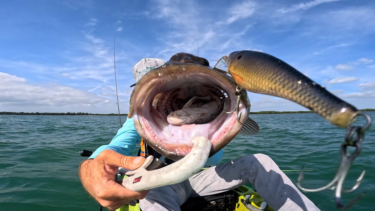 THIS LURE IS DEADLY | South Florida Kayak Grouper and Snook Plugging/Fishing!!