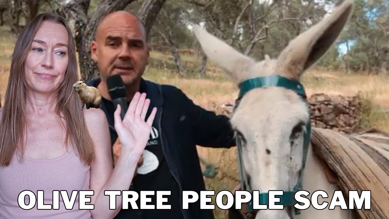 OLIVE TREE PEOPLE is a Multi-Level Marketing SCAM #antimlm