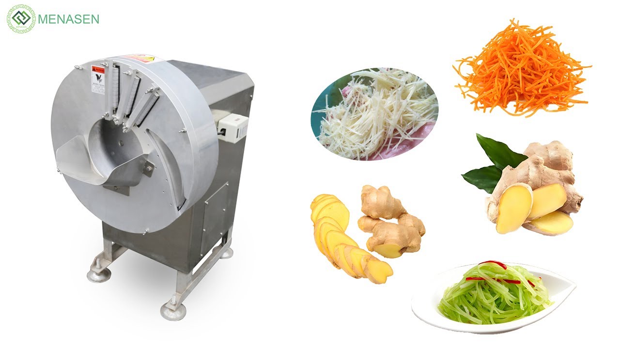 MNS-500 Ginger Shredding Machine Slicer| +86 13733892205| menasenmachinery.com
