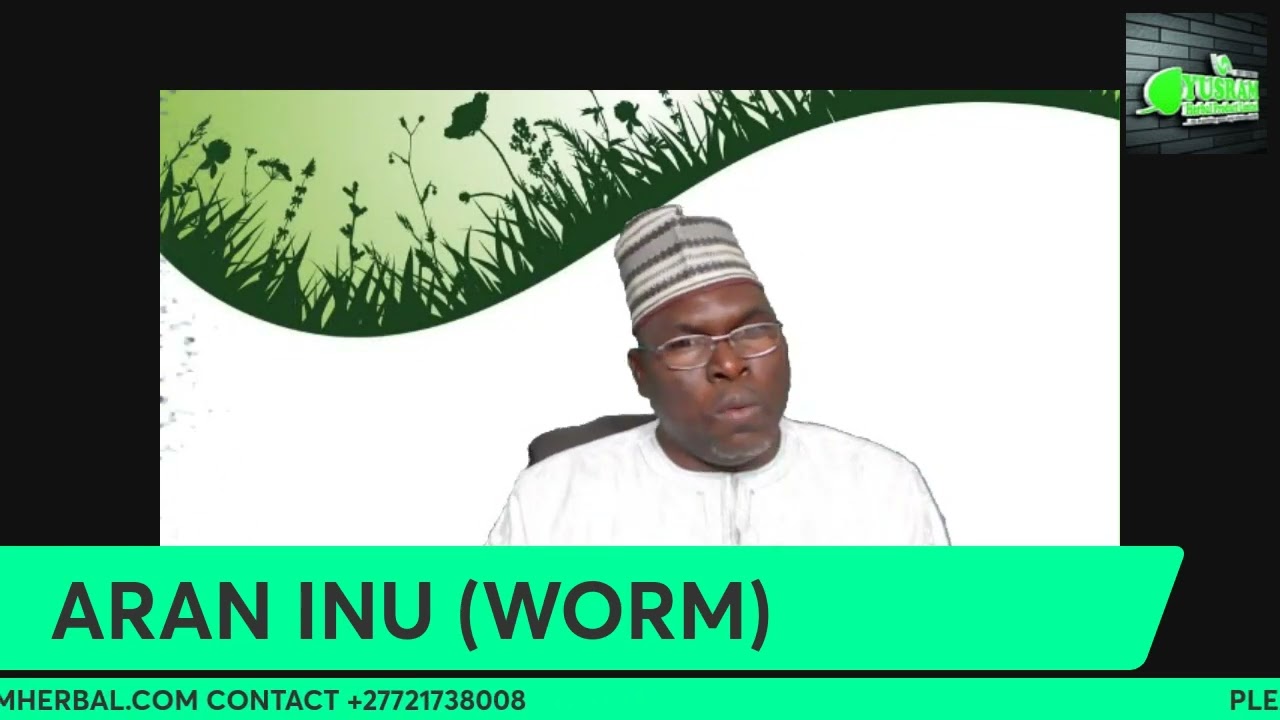 IWOSAN ARAN INU (WORMS)