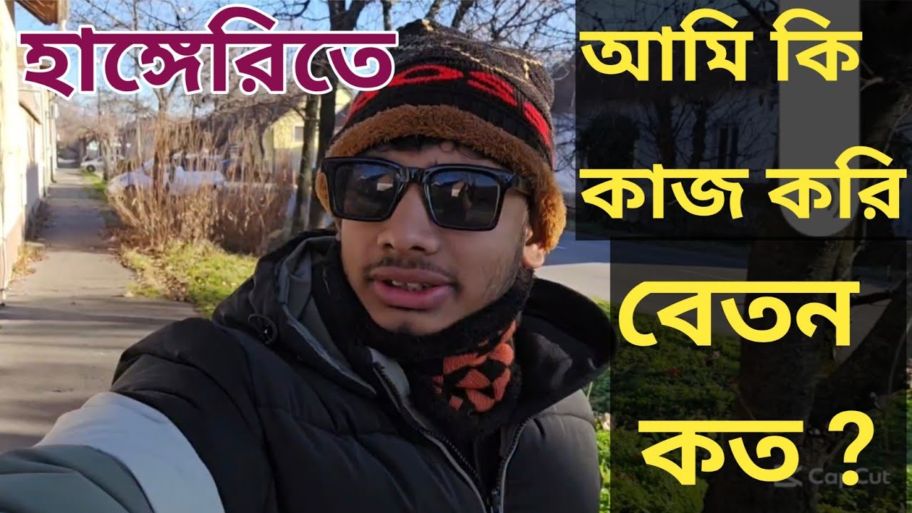 হাঙ্গেরিতে আমি কি কাজ করি, আমার বেতন কত ? আমি ইউরোপে কি কাজ করি ?  Hungary work video. Tanmay Vlogs