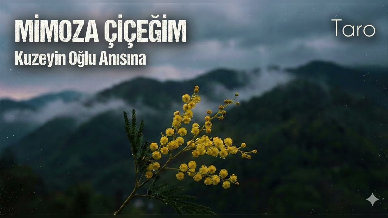 Taro - Mimoza Çiçeğim (Kuzeyin Oğlu Anısına)