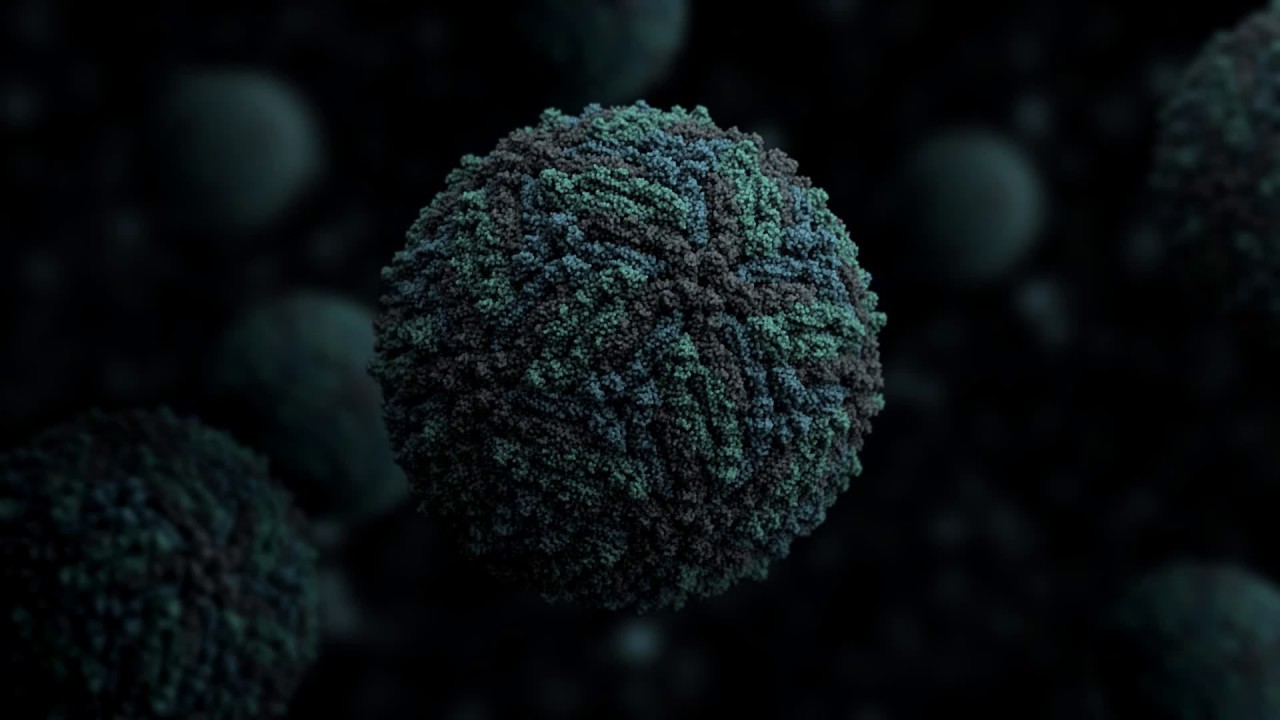 CORONAVIRUS INFECTION (COVID - 19) - HOW TO PREVENT ||