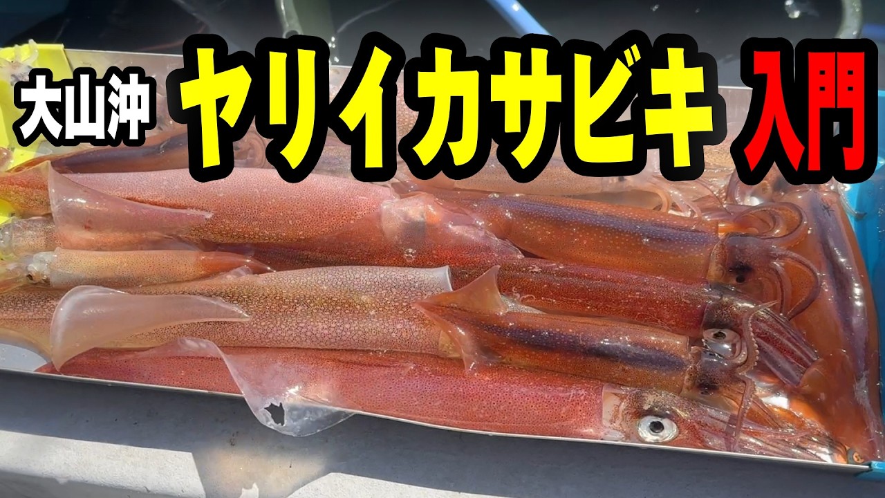 《愛知・大進丸》【永久保存版】これを見れば迷わない！大山沖ヤリイカ釣りのすべて2026 3 22