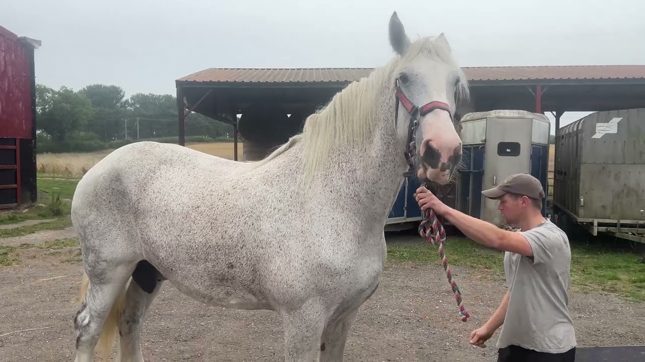Welcome to a new arrival at Cannon Hall Farm