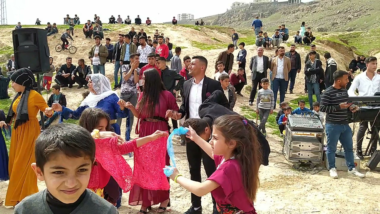 Necmettin Nayır düğünü Cizre Cudi Mahallesi