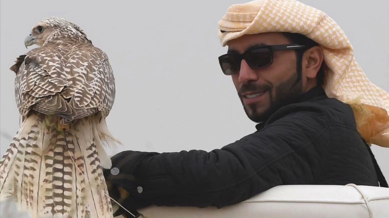 وش تبابي