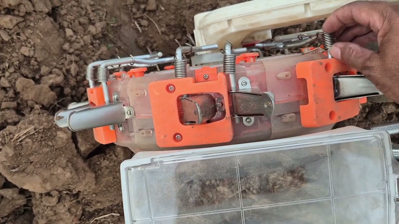 Fazendo a plantação de milho com a máquina 
