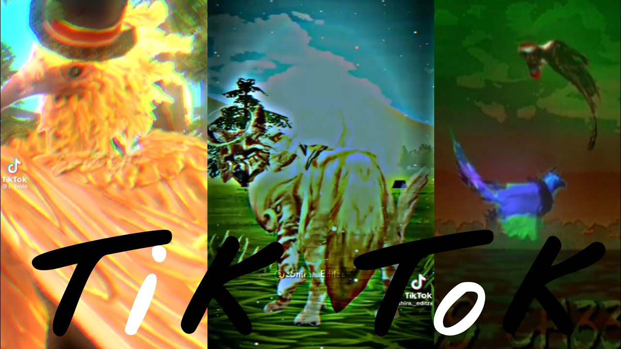WildCraft - TikTok Compilation | Part 3