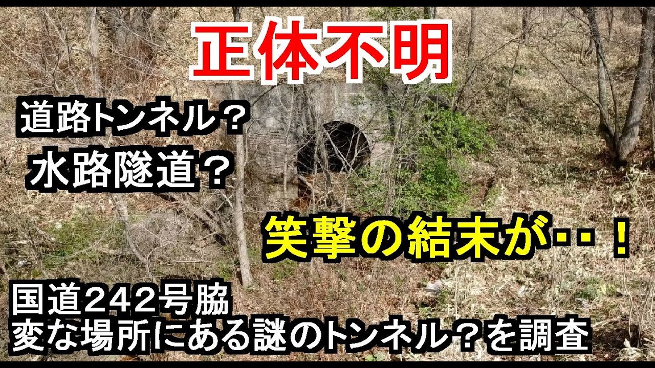 【廃道探索？】本別町の国道242号脇で見つけた謎のトンネルらしきものを調査
