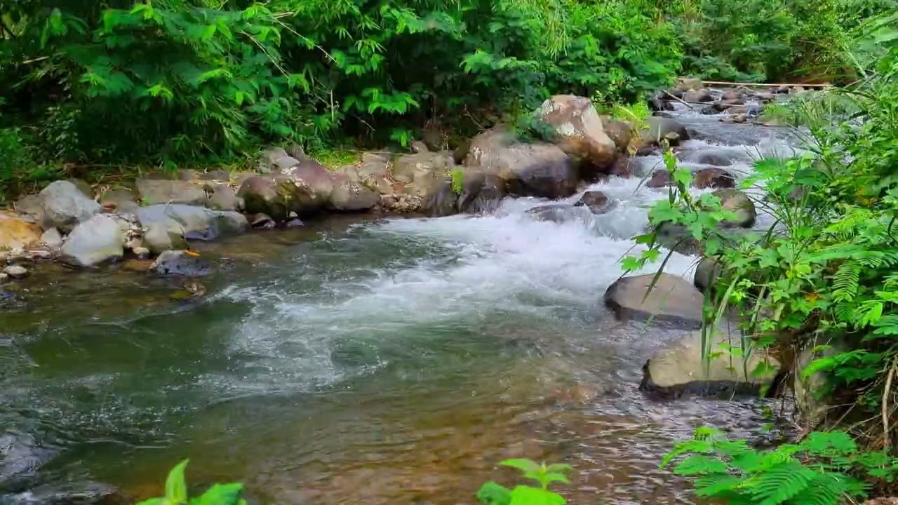 Brown Noise Stream Ambience | 1 Hour Water Sounds for Focus, Calm & Sleep 4K