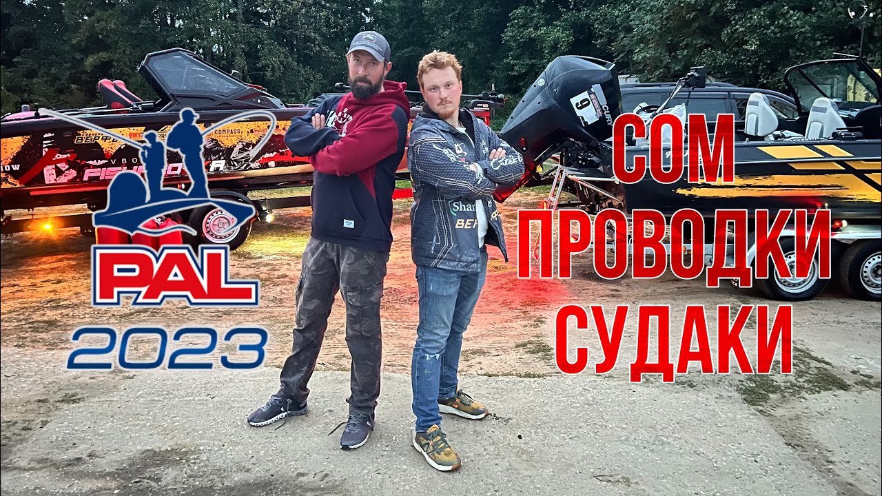 PAL 2023. Сом. Проводки. Судаки.