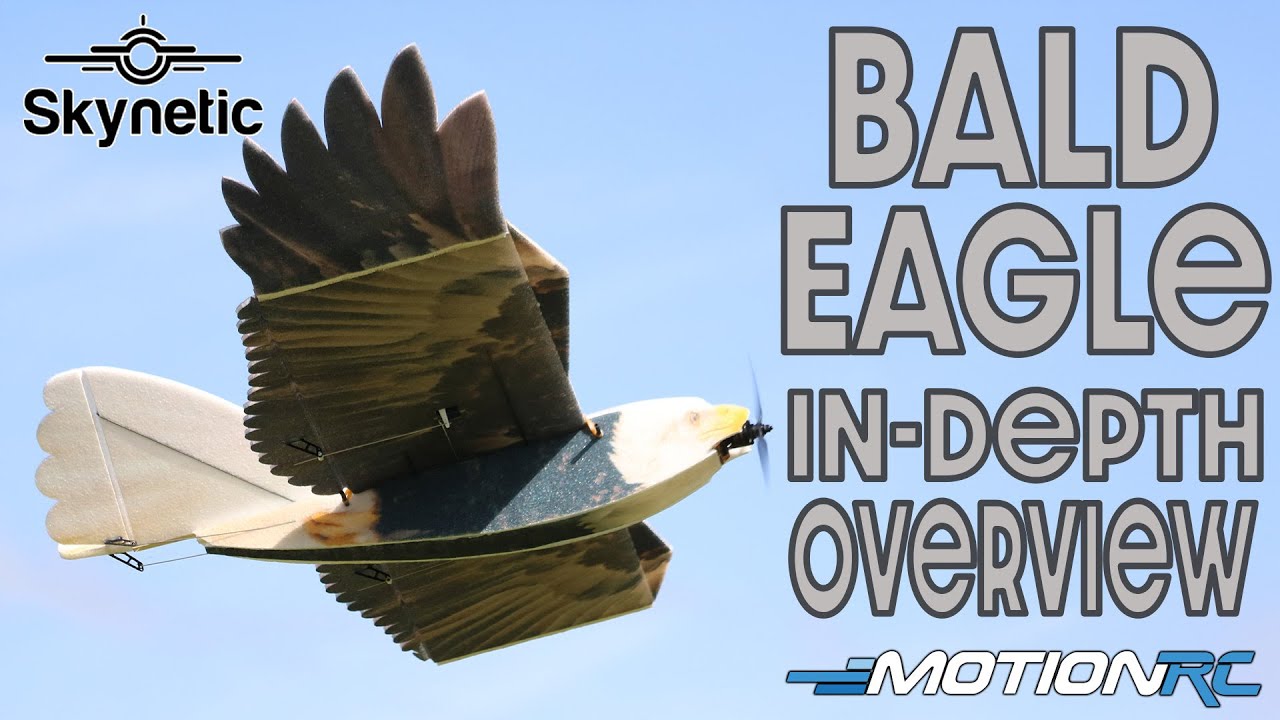 Skynetic Bald Eagle In-Depth Overview | Motion RC