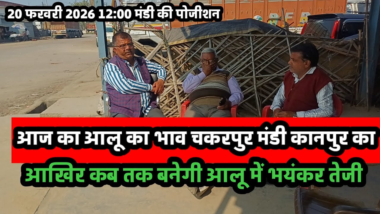 आज का आलू का भाव चकरपुर मंडी कानपुर का 20 फरवरी 2026 12:00 बजे तक की मंडी की पोजीशन 
