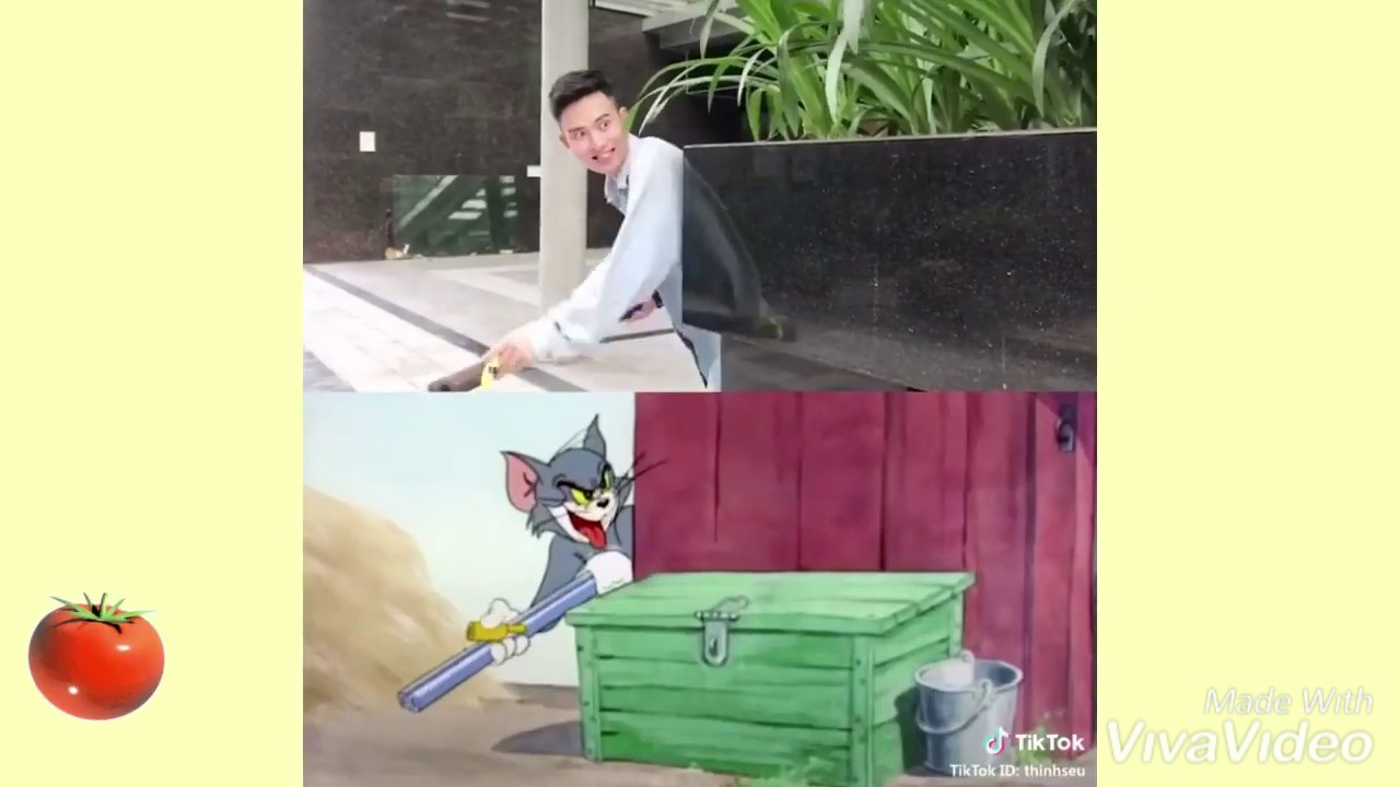 Tik tok - Tom & jerry phiên bản tả thực siêu hài hước