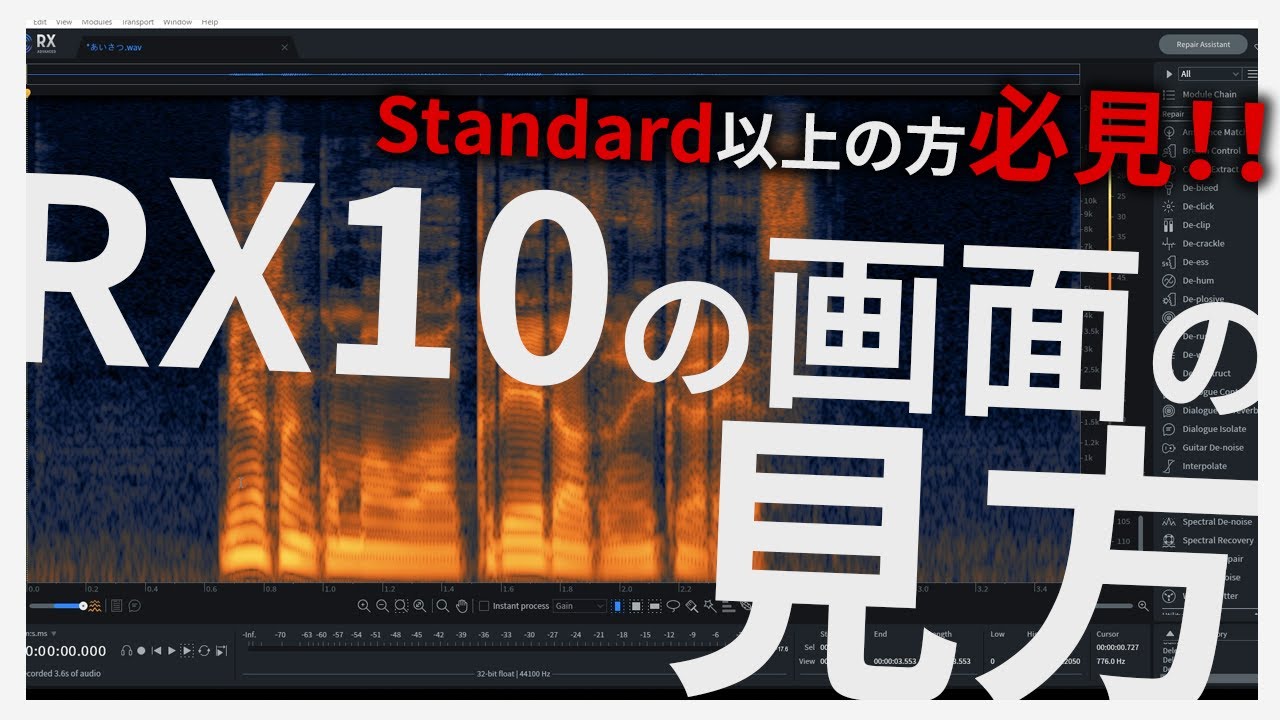 【必見！】RX10の画面の見方【iZotope】