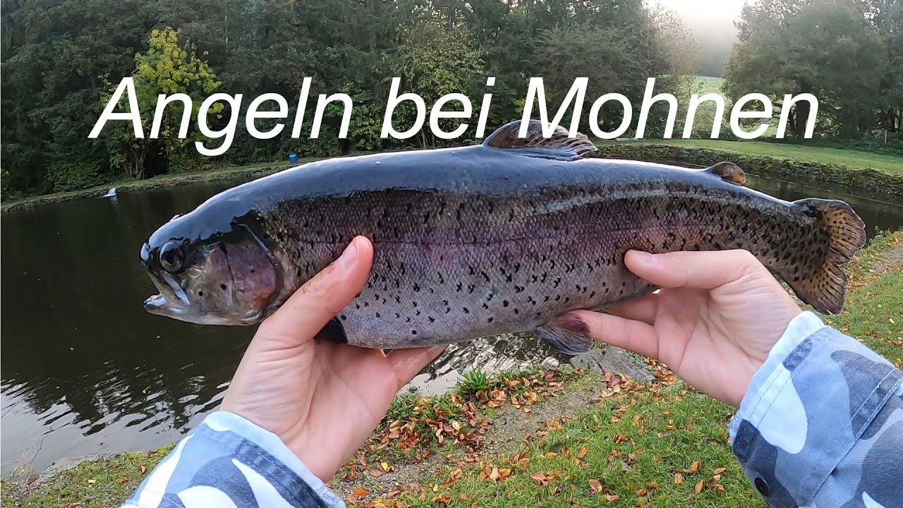 Forellenangeln auf Lachsforellen Ultra Light Angeln