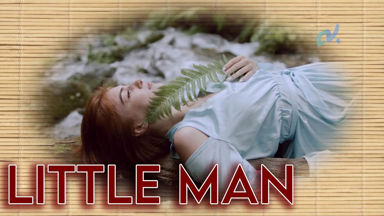 Franck Pourcel - Little Man