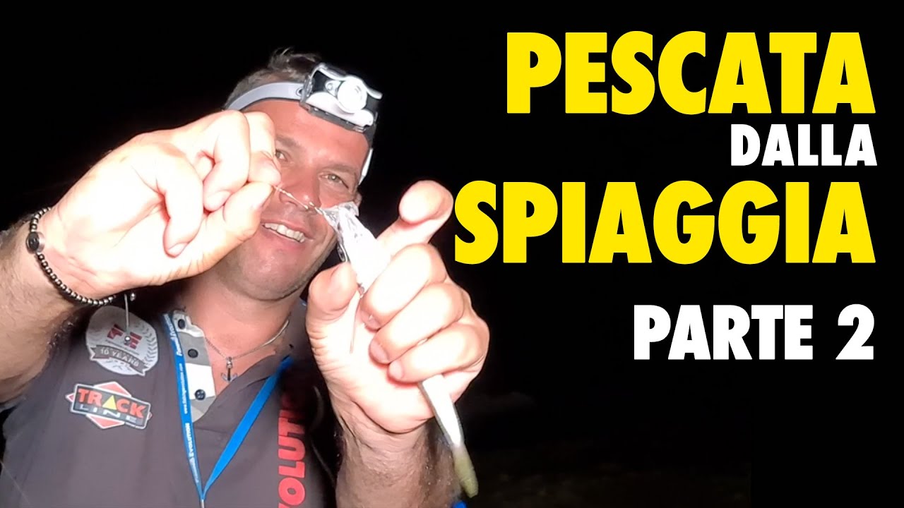 Pescata a SurfCasting | Mormore e non solo dalla Spiaggia. Travi, Inneschi e Soluzioni.