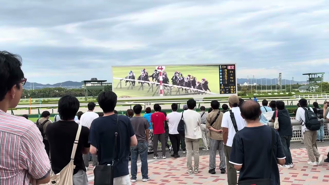 2025年スプリンターズS 阪神競馬場の様子