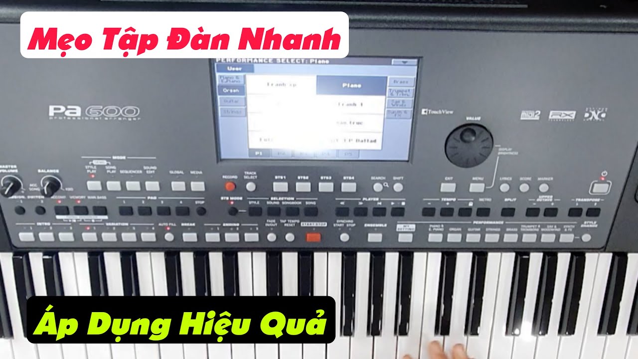 Muốn Tập Đàn Nhanh Cần Bỏ Qua Phần Không Cần Thiết | Mẹo Đệm Hát