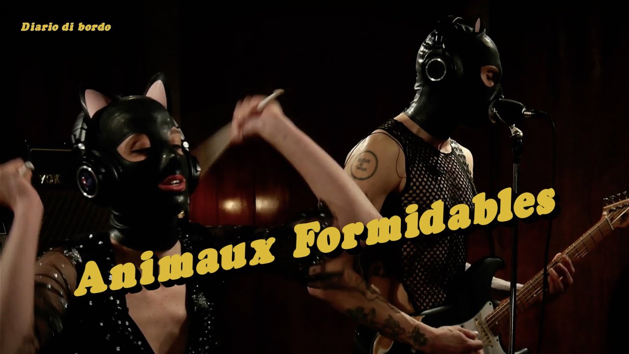 🚀 Animaux Formidables • DIARIO DI BORDO • Live Music Studio Session • #garage  #rock