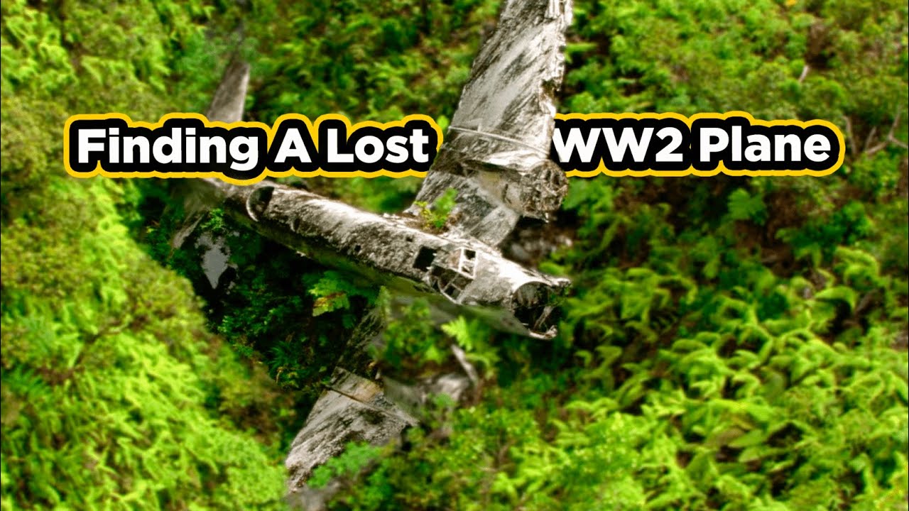 the scavenger hunt for a ww2 plane