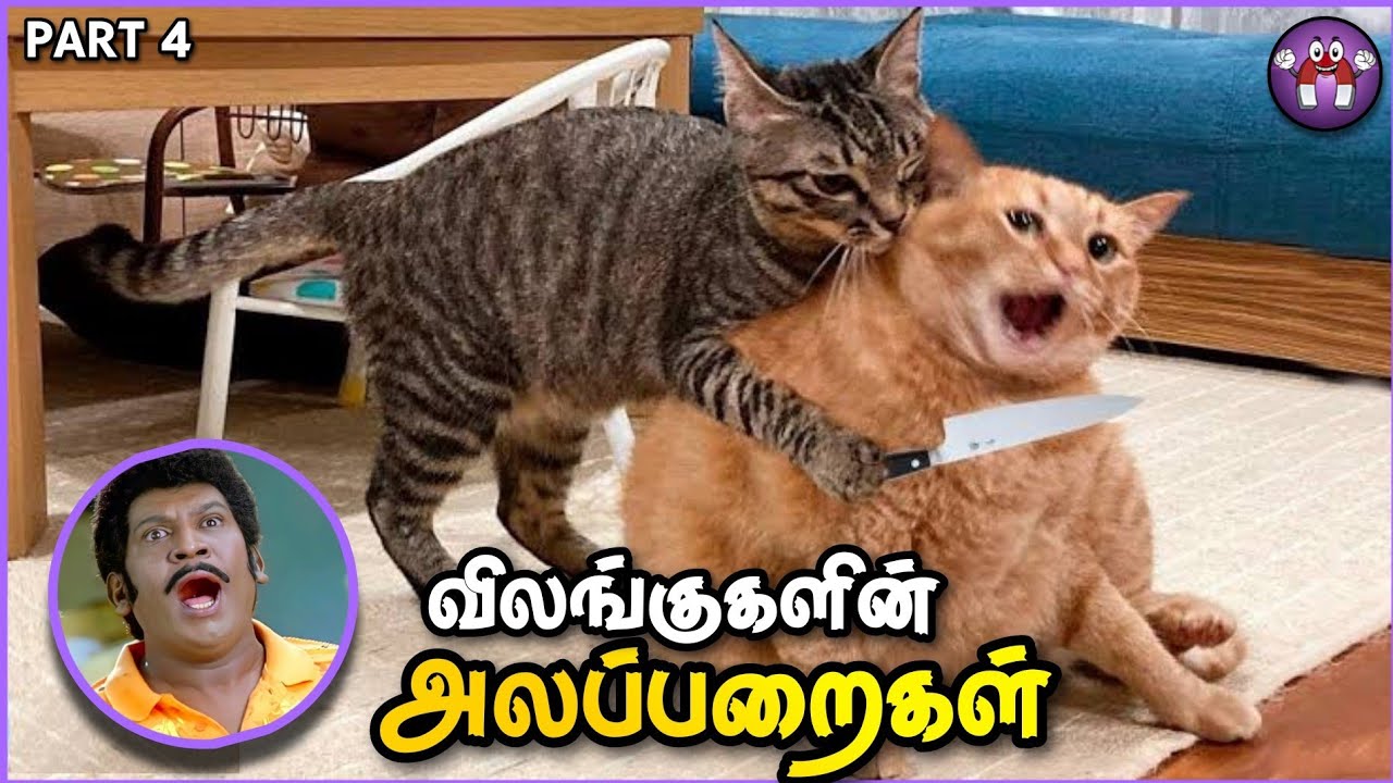 அலப்பறையான ANIMAL சம்பவங்கள் | Funny Animal Moments | Pt.4 | The Magnet Family 2.0