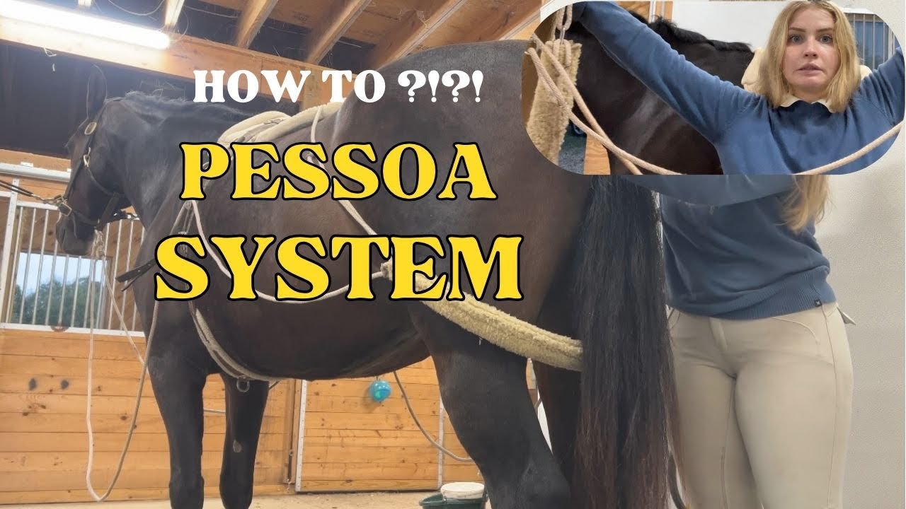 HOW TO USE THE PESSOA SYSTEM