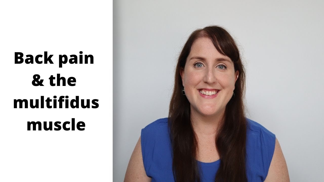 Back pain and the multifidus muscle