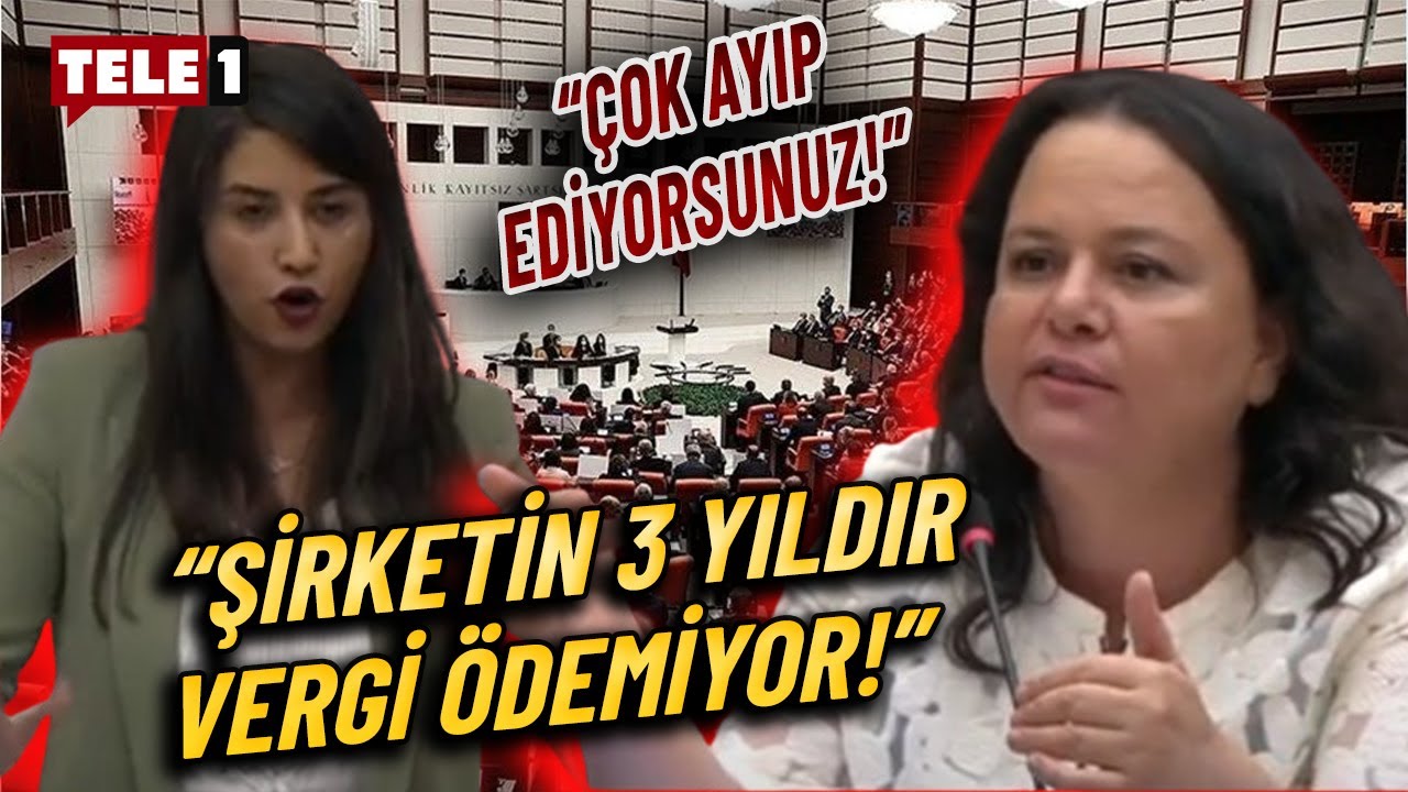 DEM'li Dilan Kunt Ayan'dan AKP'li Nilgün Ök'e: Sen kendi şirketinin vergisini bile ödemiyorsun!
